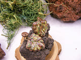 Cercei Camo Leaves