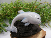 Broșă "Delfin"